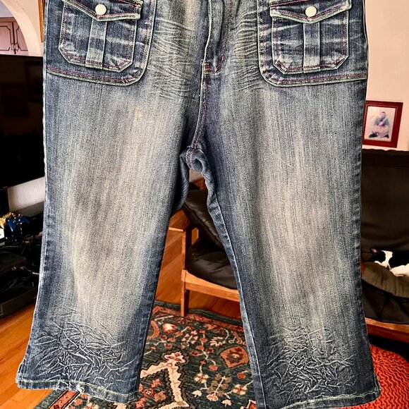 CREST JEANS Zippers w/ Small Pockets Stretch Cropped Capri JEANS Sz. 17/18 - Picture 2 of 5